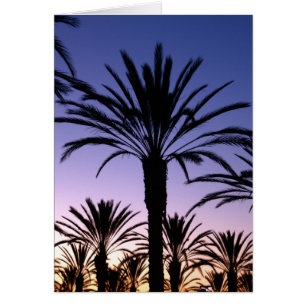 Cartão Céus da palma