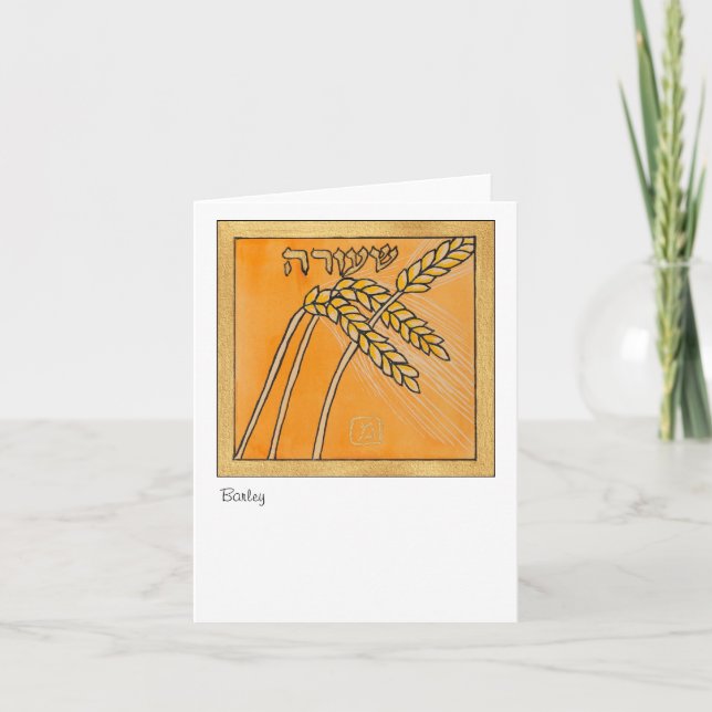 Cartão Cevada, uma das sete espécies de Israel (Frente)