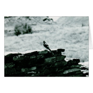 Cartão Chaco Bird