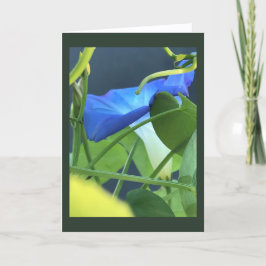 Cartão Chalice-of-Blue Morning Glory Blank 