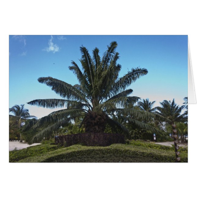 Cartão Chankanaab, Cozumel, México (Frente Horizontal)