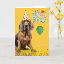 Chapéu de Aniversário Amarelo do Cão Sabujo