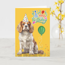 Chapéu de Festa Cavalier King Charles Amarelo Aniv