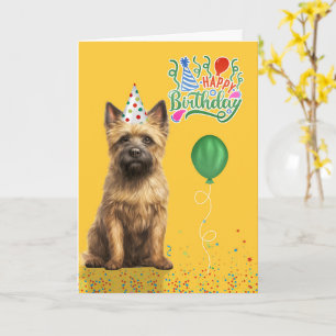 Cartão Chapéu de Festa de Cachorro Terrier Cairn Amarelo