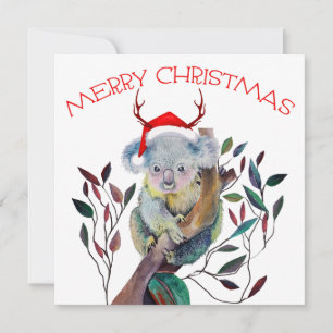 Cartão Chapéu de Papai Noel de Coala de Natal Australiano