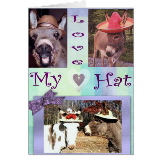 Cartão Chapéus do asno