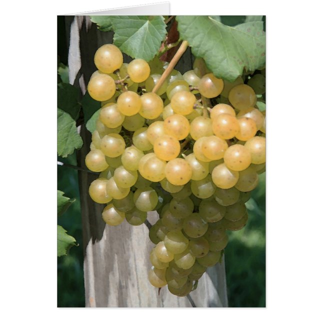 Cartão Chardonel (Frente)