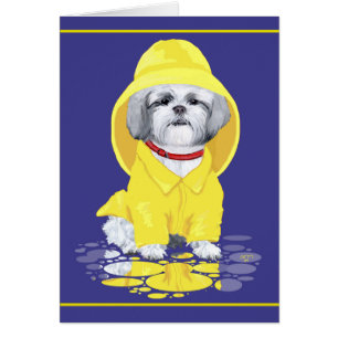 Cartão Chás Shih Tzu April