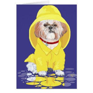 Cartão Chás Shih Tzu April