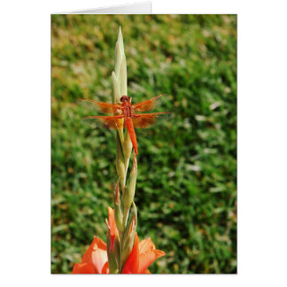 Cartão Chase o Dragão