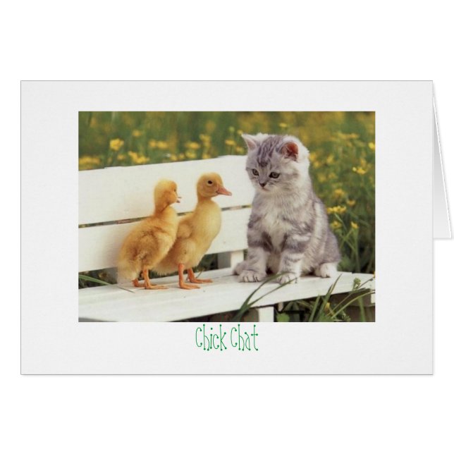 Cartão Chat de Pintinho de gatinho e patos (Frente Horizontal)