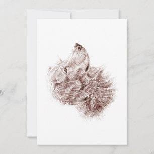 Cartão Chato Retriever Dourado