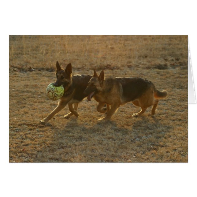 Cartão Chauncey & Abie (Frente Horizontal)