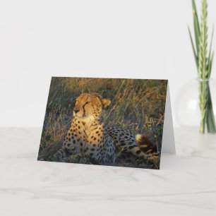 CARTÃO CHEETAH GREETING
