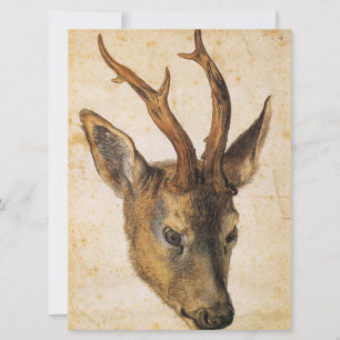 Cartão Chefe de Stag (Wild Animal) (por Albrecht Durer)