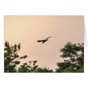 Cartão Chegada à noite