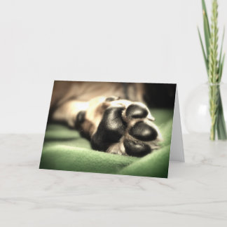 Cartão Chegada nova