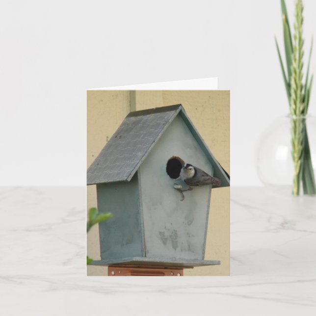 CARTÃO CHEIO BIRDHOUSE VAZIO NOTECARD (Frente)