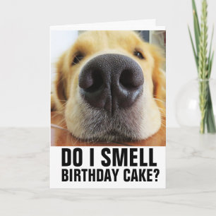 CARTÃO CHEIO DE BOLO DE ANIVERSÁRIO? PLACAS DE CACHORRO D