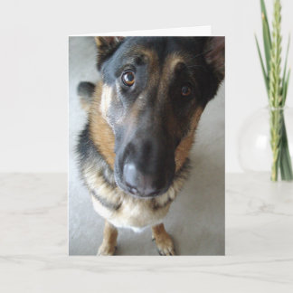 Cartão Cheira-me bolo? Aniversário deseja...