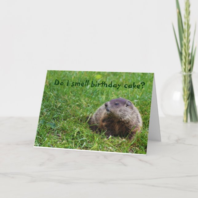 Cartão Cheira-me bolo de aniversário? (Frente)