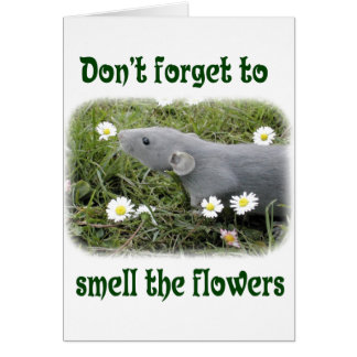 Cartão Cheire as flores