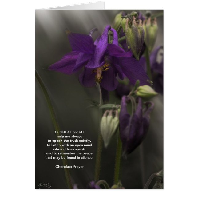 Cartão Cherokee Prayer, Columbine à luz do sol (Frente)