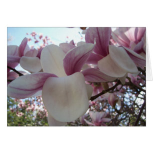 Cartão Cherry Blossom