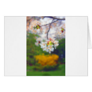 Cartão Cherry Blossom Fantasy