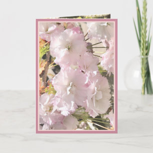 Cartão Cherry Blossom pale pink and white card photo