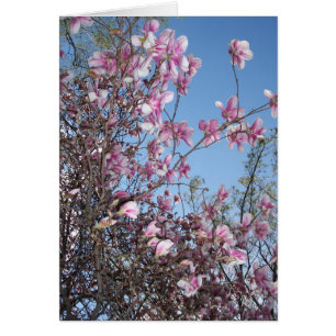 Cartão Cherry Blossom Saudação