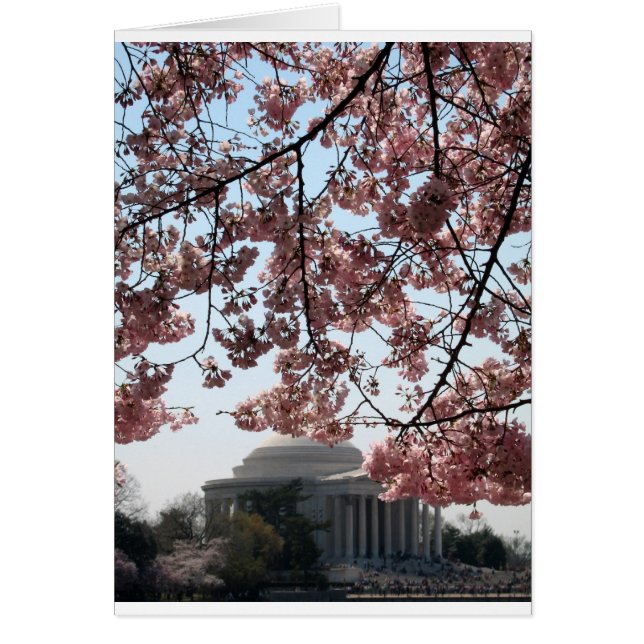 Cartão Cherry Blossom Washington DC (Frente)