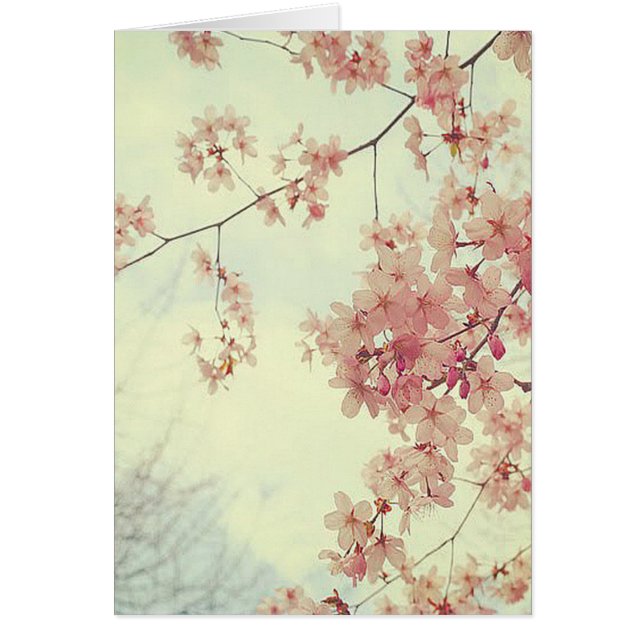 Cartão Cherry Blossoms (Frente)