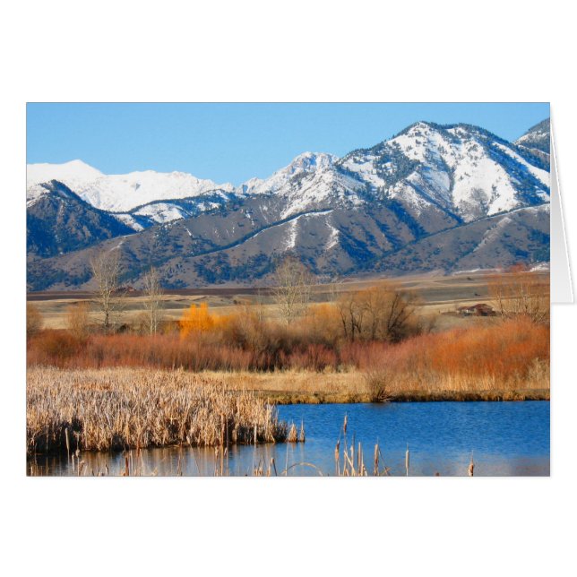 Cartão Cherry River por Cynthia Wenslow (Frente Horizontal)