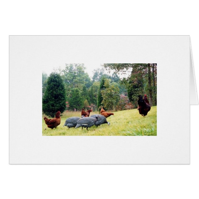 Cartão Chester & seu exército na patrulha (Frente Horizontal)