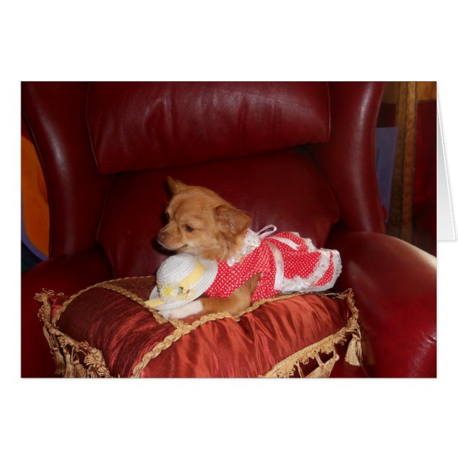 cartão chi de partido (Frente Horizontal)