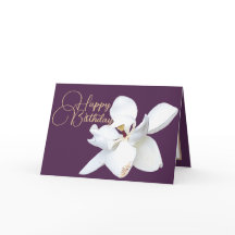 Chic Floral White Magnolia Flor Purple Aniversário
