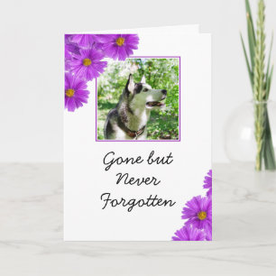 Cartão Chic Purple Flowers Pet Photo Sympathy