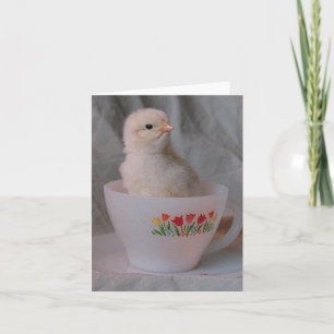 Cartão Chick in A Vintage Teacup All Ocassion Digital Art