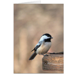 Cartão Chickadee na luz dourada