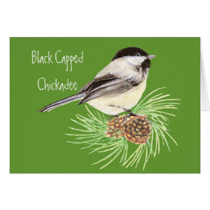 Cartão Chickadee tampado preto - pássaro - natureza