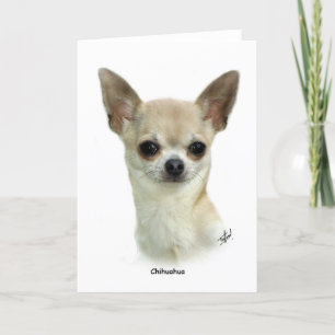 Cartão Chihuahua 9P93D-123_2