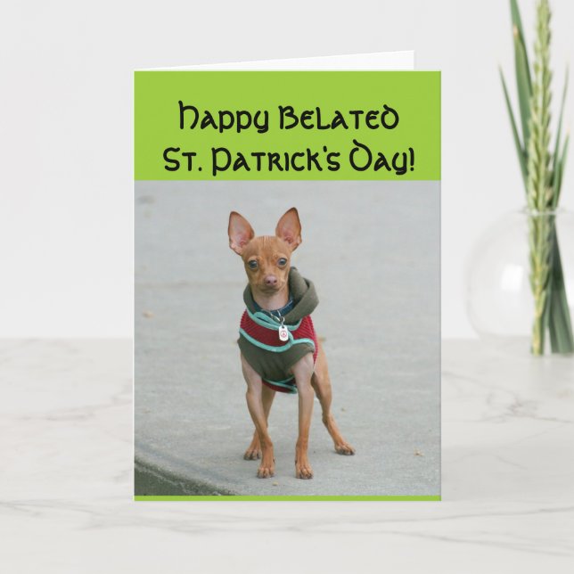 Cartão Chihuahua de Dia de São Patrício Feliz Belo (Frente)