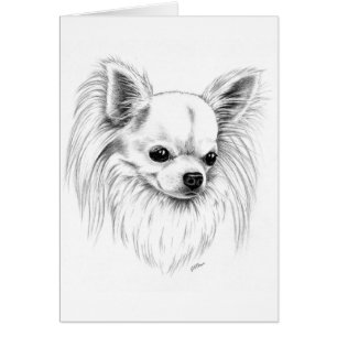 Cartão Chihuahua de Longcoat
