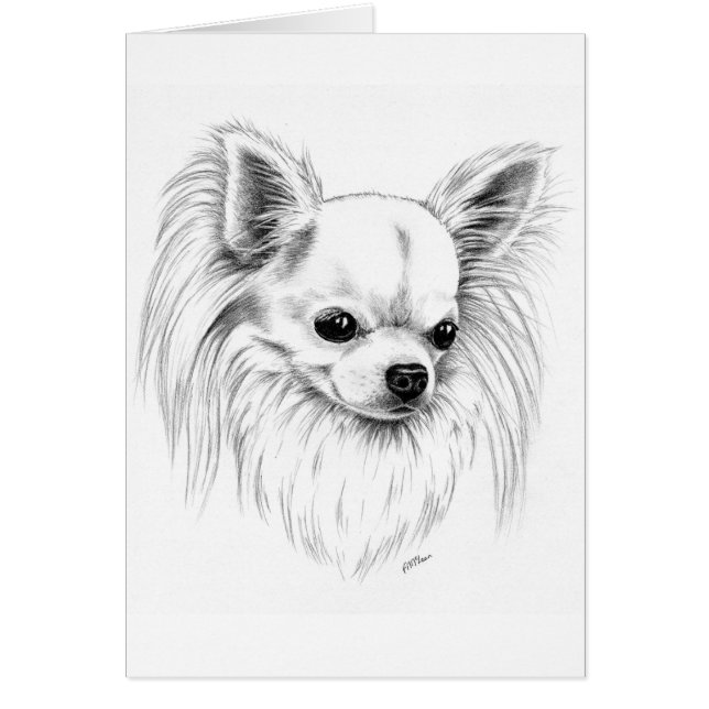 Cartão Chihuahua de Longcoat (Frente)