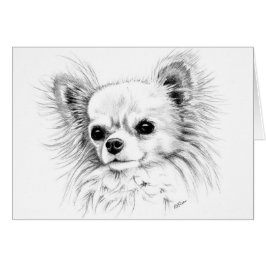 Cartão Chihuahua de Longcoat