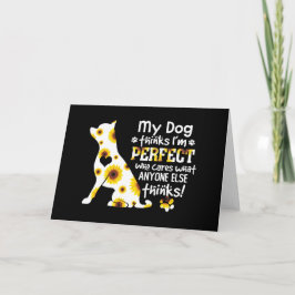 Cartão Chihuahua Meu Cachorro pensa que sou perfeito que 