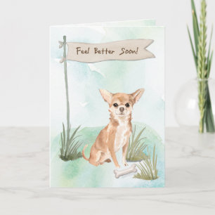 Cartão Chihuahua se sente melhor após cirurgia para cão
