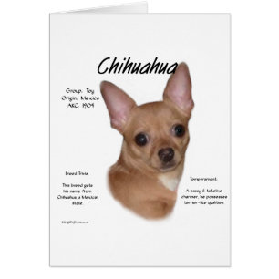 Cartão Chihuahua (suave) Design de História