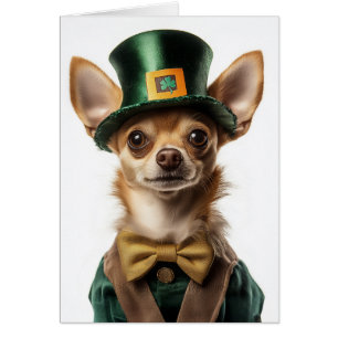 Cartão Chihuahua vestiu Rua de Leprechaun. Dia de Patrick